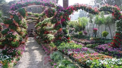 الزراعة: تأجيل الافتتاح الرسمي لمعرض زهور الربيع بحديقة الأورمان
