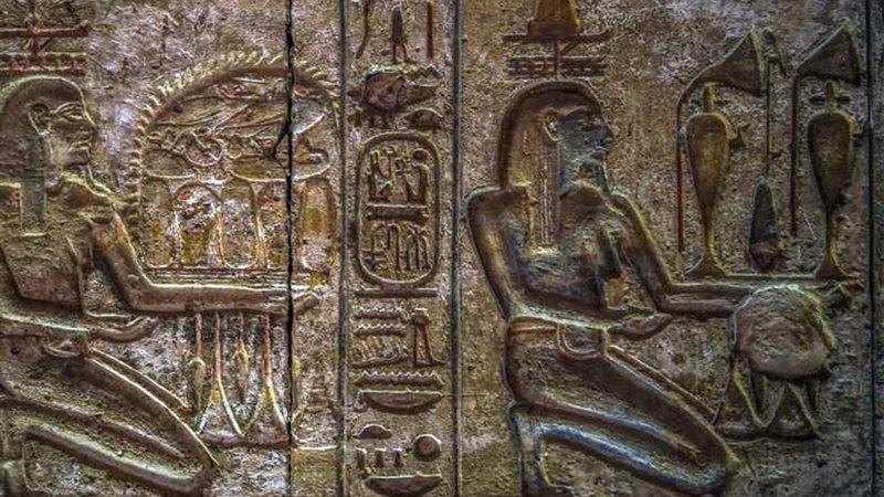 د. ايمان الجمال تكتب