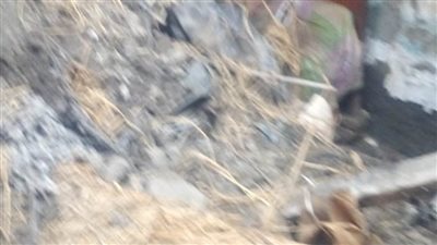 انهيار جزئي لعقار سيدة مسنة بالإسماعيلية