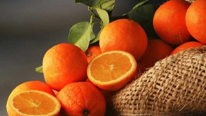 يحرق الدهون ويحمي