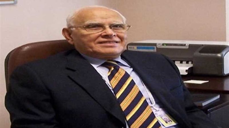 رئيس المجلس المصري