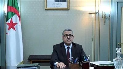 رئيس الوزراء الجزائري: على المشاركين في الحراك الشعبي توخي الحذر بسبب كورونا