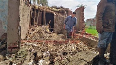 مصرع طفل صعقًا ونفوق رأس ماشية وانهيار 3 منازل بسبب الطقس السيئ في القليوبية 