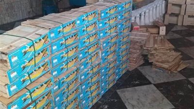 ضبط 300 صندوق أسماك وعبوات عطارة منتهية الصلاحية بالبحيرة