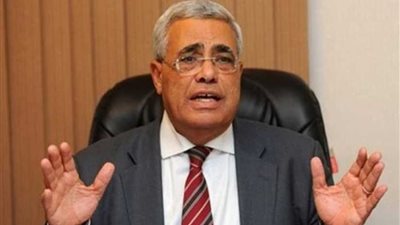 تأجيل حسن نافعة في التحفظ على أمواله لـ 2 مارس