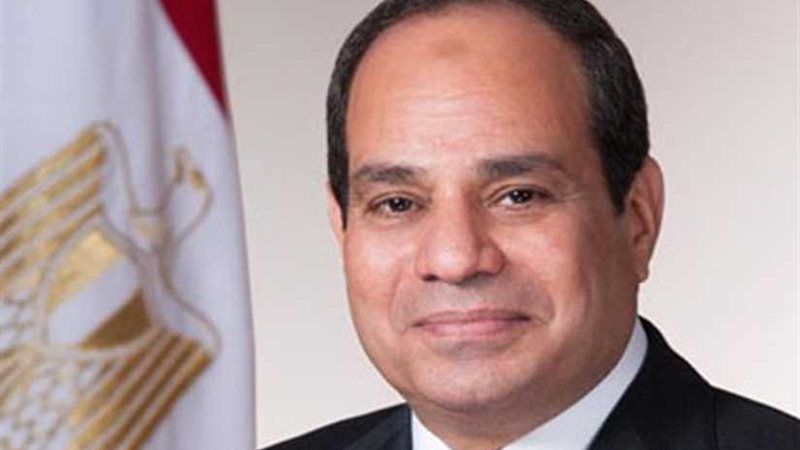 السيسي يؤكد على دور