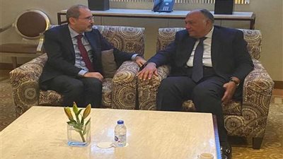 شكرى يبحث مع نظيره الأردنى بالرياض التحديات الراهنة