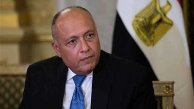 وزير الخارجية يبحث مع نظيره السعودي التطورات في المنطقة