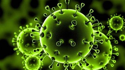 نجمات الألعاب في مواجهة فيروس 