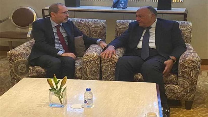 شكرى يبحث مع نظيره