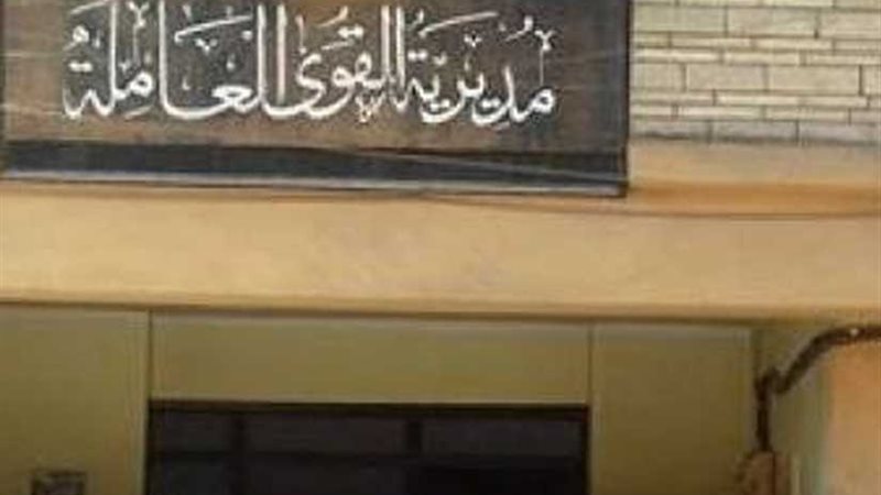 القوى العاملة بالأقصر