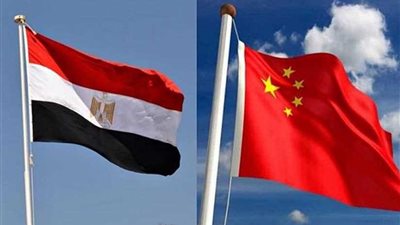 وزير الخارجية الصيني: الشراكة مع مصر شهدت تطورا سريعا