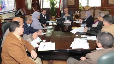 وحدة رصد ميداني للخدمات والمشروعات بـ 222 قرية ببني سويف