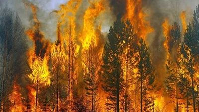 أستراليا تحث ربع مليون شخص على ترك منازلهم تحسبا لحرائق الغابات