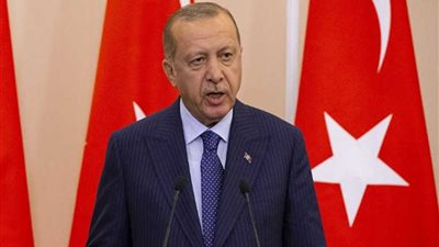 كاتب لبناني: أردوغان يرسل ميليشيات إرهابية مسلحة إلى ليبيا