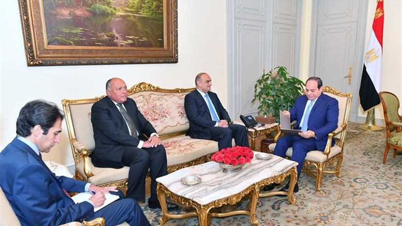 نشاط الرئيس السيسي