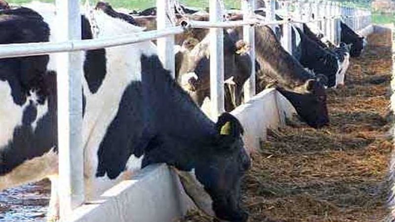 عاجل ..الزرعة : توفير