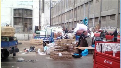 محافظ الإسكندرية يأمر بإغلاق سوق الجمعة