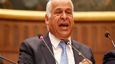 عامر: افتتاح المعبد اليهودي رسالة أن مصر تتسع لكل الديانات