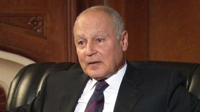 أبوالغيط: الأمة العربية