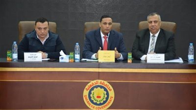 محافظ الدقهلية: توفير 250 طن كلور للتطهير ضد فيروس 