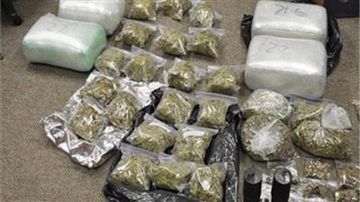 ضبط شخص بحوزته 400 طربة حشيش في الإسكندرية