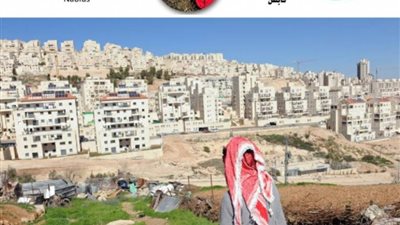 منظمة التحرير: الاحتلال يستغل أزمة كورونا لمواصلة الاستيطان وفصل القدس