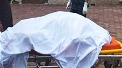 كشف غموض العثور على جثة سائق بها طعنات في الزراعات بالبحيرة