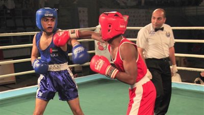 اتحاد الملاكمة يطبق نظام 