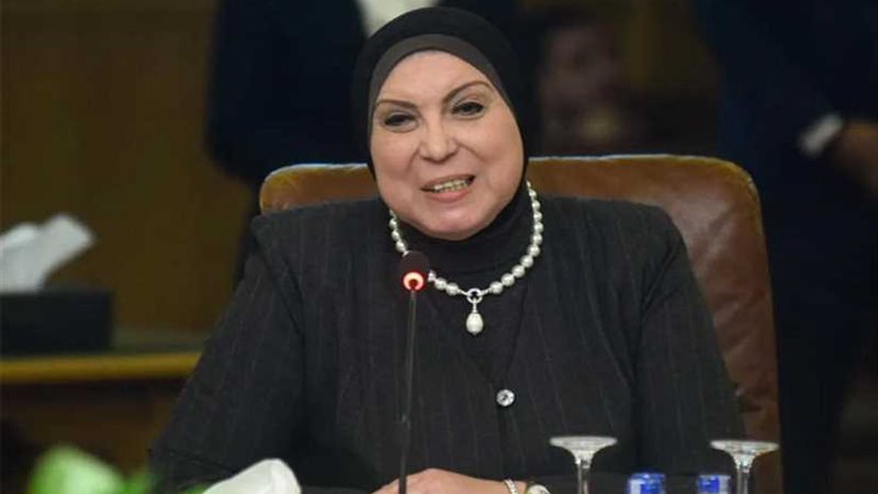 وزيرة الصناعة أمام