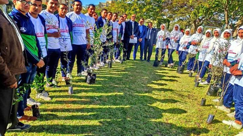 2500 شجرة مثمرة بدمياط