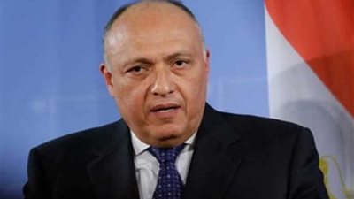 شكري يشارك في الاجتماع حول سد النهضة