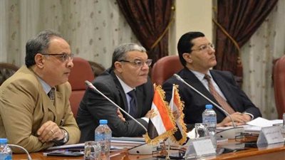 مجموعة عمل لإنهاء إجراءات توصيل المرافق للمنطقة الحرة بالمنيا