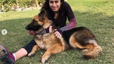 بالصور.. نور الشربيني في حديقة منزلها بعد توقف النشاط الرياضي