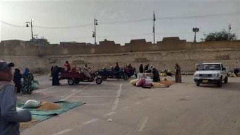 بوابة روز اليوسف