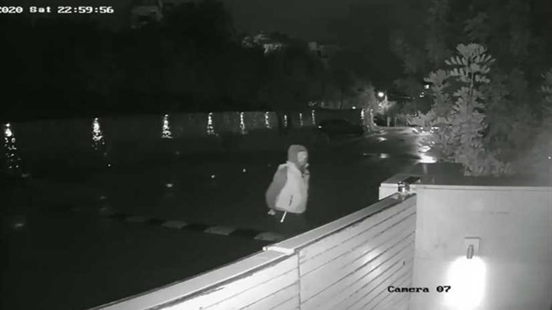 فيديو جديد من فيلا