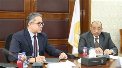 العناني وشعراوي يجتمعان لتعزيز سبل التعاون خلال الفترة المقبلة