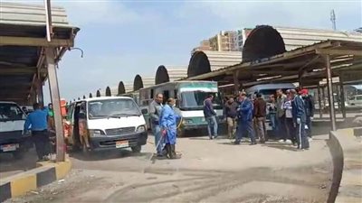 كفر الشيخ تكافح 