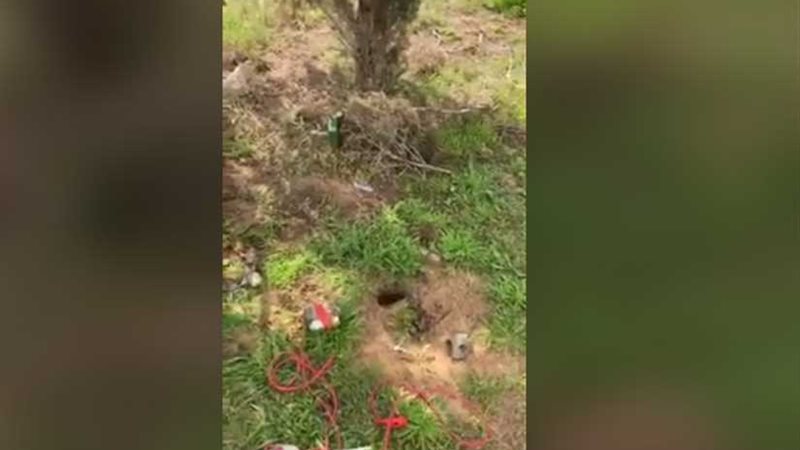 بالفيديو ..المرتزقة