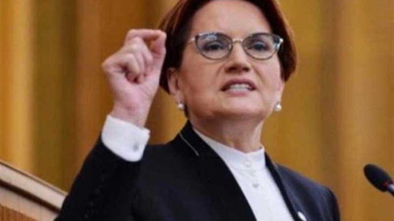 المعارضة التركية