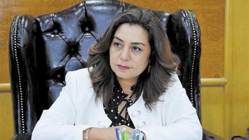 محافظ دمياط تخصص