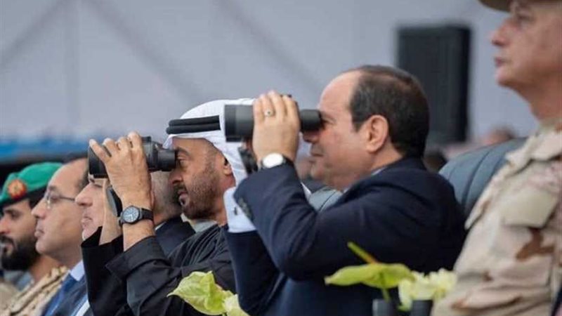 الرئيس السيسي يشيد