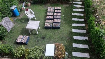 ضبط صينيين أثناء حفل شواء 