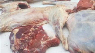 ضبط لحوم غير صالحة للاستهلاك الآدمي في حملة تموينية بالبحيرة