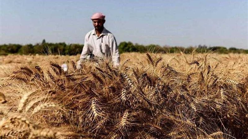 الوزراء: لا صحة لإصابة