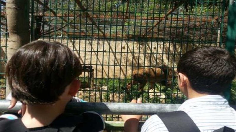 بعد غد .. يوم تثقيفي