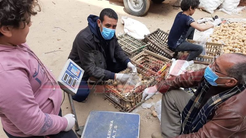 بوابة روز اليوسف