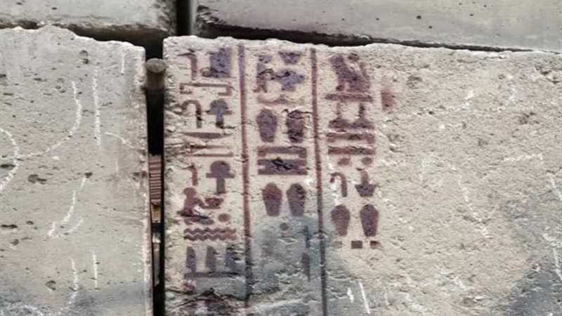 جامعة حلوان تشارك