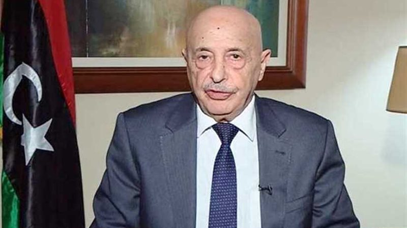 رئيس البرلمان الليبي: