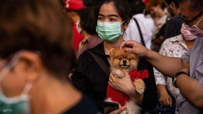 تسجيل حالة جديدة لانتقال عدوى كورونا من البشر إلى حيوان أليف